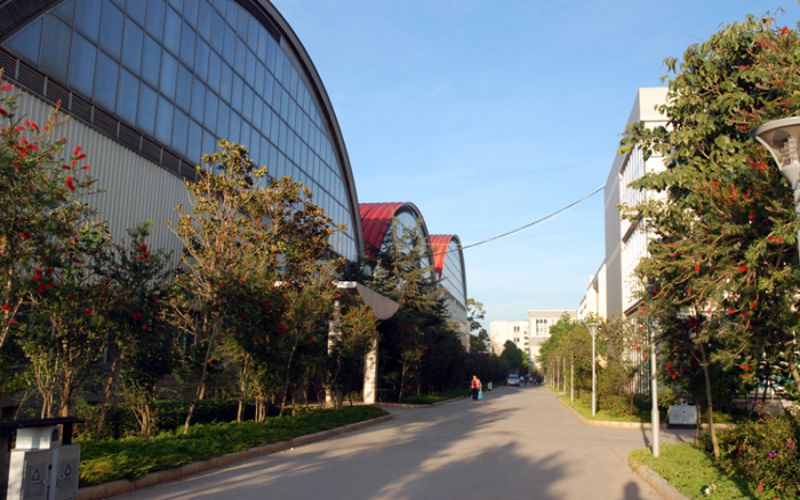 云南體育運動職業(yè)技術(shù)學(xué)院旅游管理專業(yè)錄取分數(shù)線【云南高考文科】