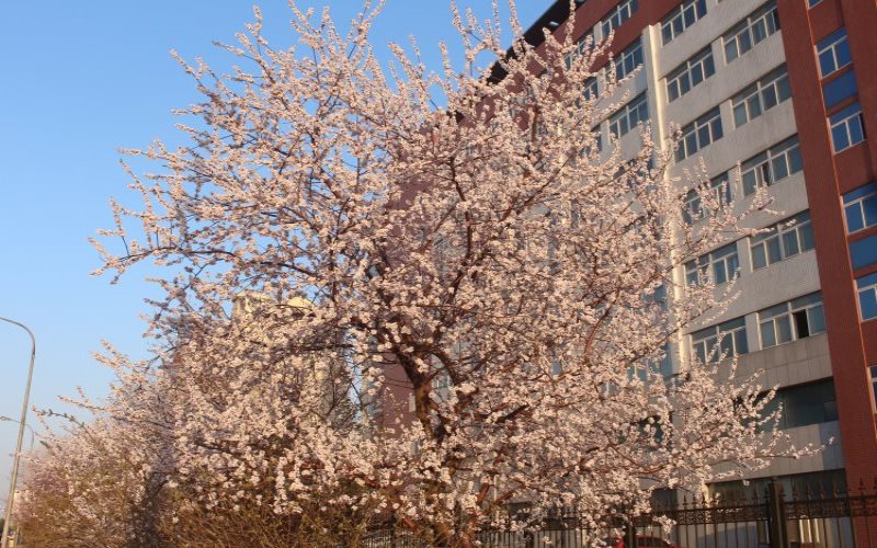 長春理工大學(xué)金融工程專業(yè)錄取分?jǐn)?shù)線【北京高考綜合】