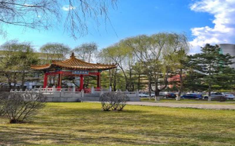 長(zhǎng)春理工大學(xué)電子信息工程專業(yè)錄取分?jǐn)?shù)線【天津高考綜合】