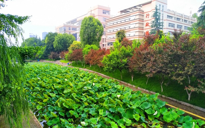 遼寧物理類考生排多少名可以上三峽大學(xué)環(huán)境工程專業(yè)?