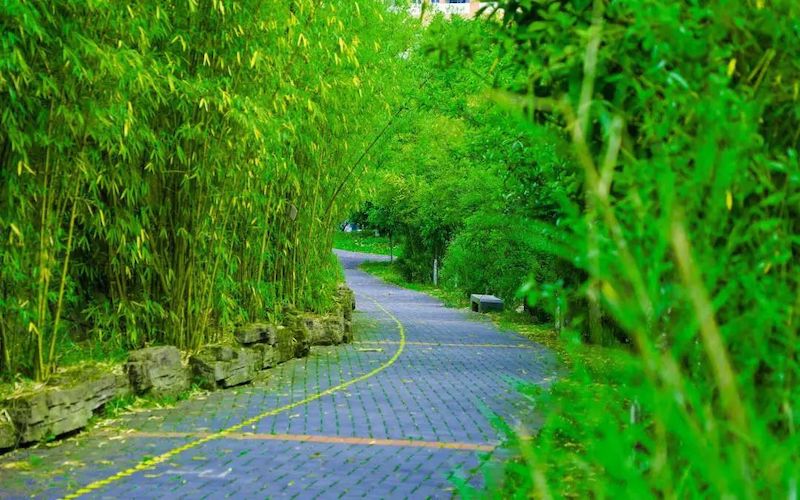2023年重慶考生多少分可以上貴州師范學(xué)院農(nóng)業(yè)資源與環(huán)境專業(yè)？