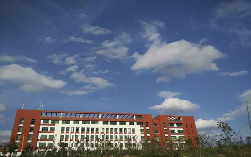 畢節(jié)職業(yè)技術(shù)學(xué)院大數(shù)據(jù)與財(cái)務(wù)管理專業(yè)錄取分?jǐn)?shù)線【云南高考文科】