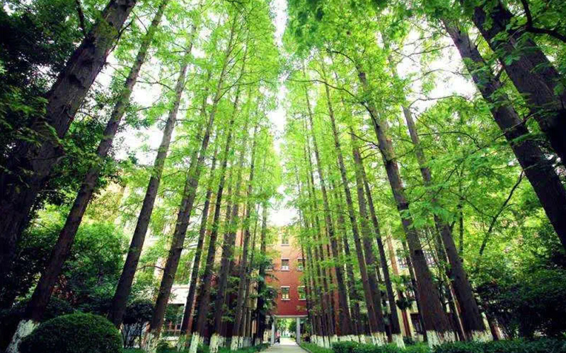 【2023高考參考】東華大學(xué)2022年西藏招生專業(yè)及招生計(jì)劃一覽表