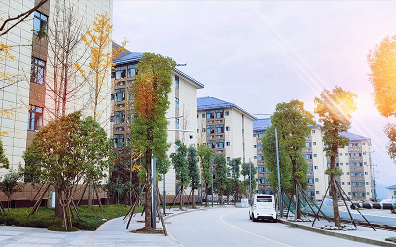 達州職業(yè)技術(shù)學(xué)院臨床醫(yī)學(xué)專業(yè)錄取分?jǐn)?shù)線【重慶高考物理類】