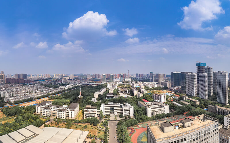 2024考生參考：2023武漢職業(yè)技術學院應用英語專業(yè)在浙江招生錄取分數及錄取位次