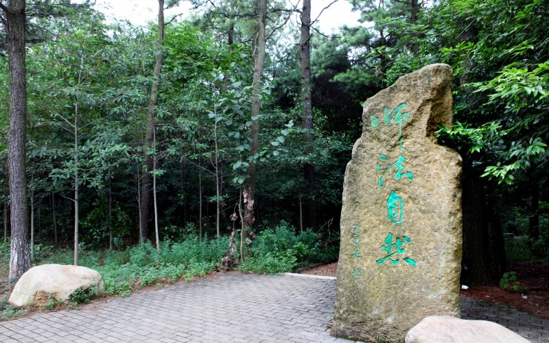 2023年江西農(nóng)業(yè)大學(xué)在福建招生專(zhuān)業(yè)及招生人數(shù)匯總