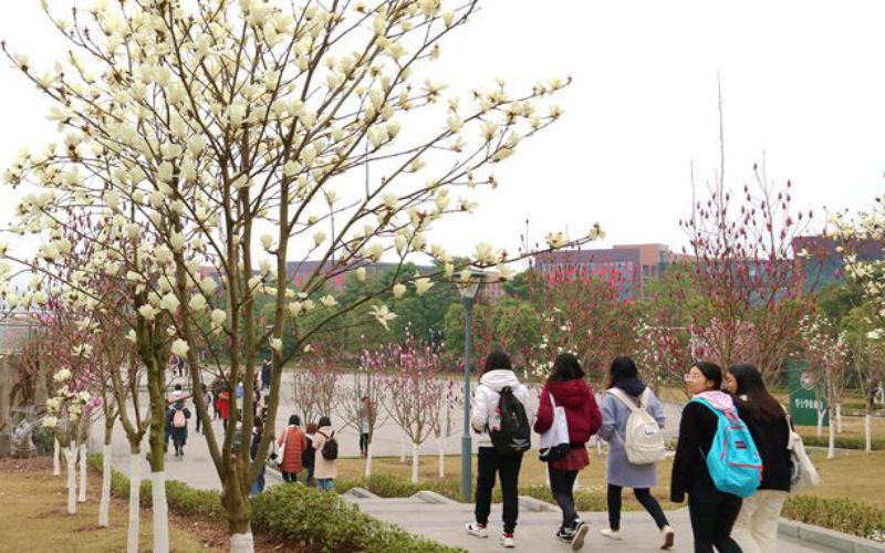 2023年長江師范學(xué)院在貴州錄取批次及錄取分?jǐn)?shù)參考
