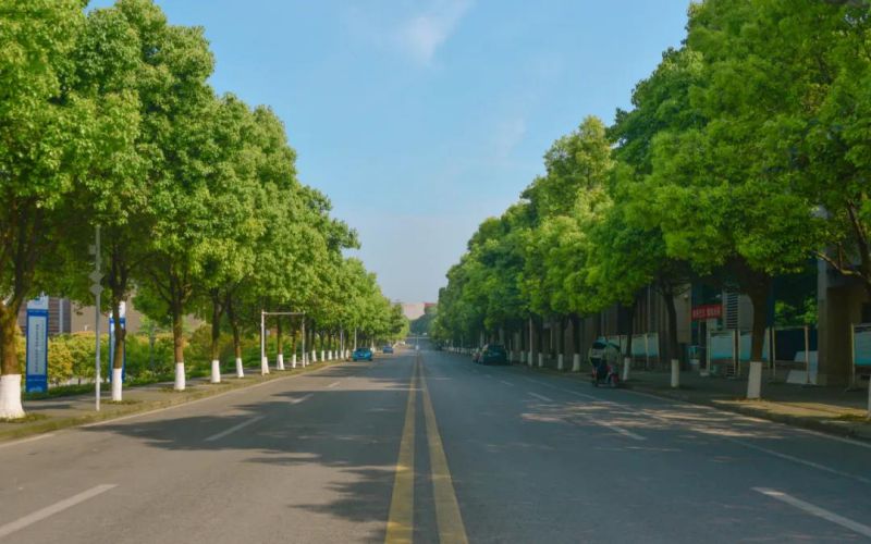 長江師范學(xué)院計(jì)算機(jī)類專業(yè)錄取分?jǐn)?shù)線【河北高考物理類】