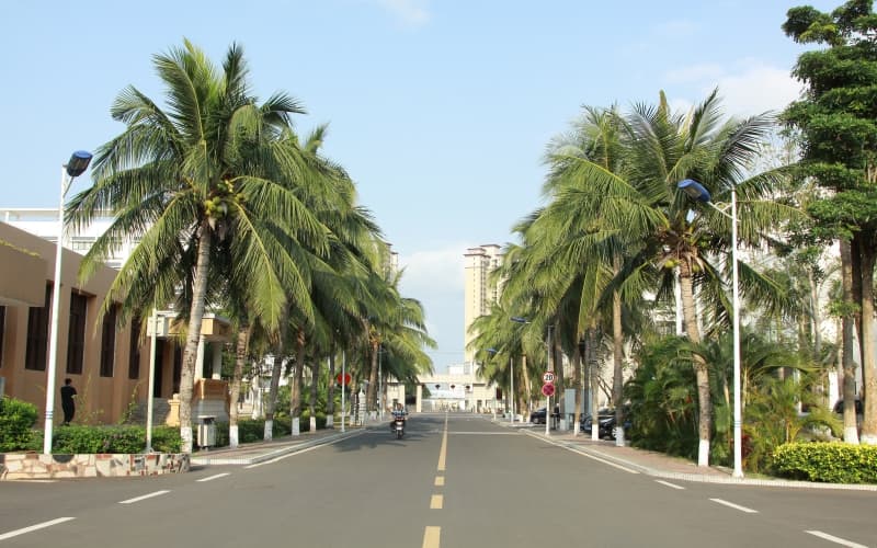 海南政法職業(yè)學(xué)院社區(qū)矯正專業(yè)在四川招生錄取分?jǐn)?shù)(文科)：440分