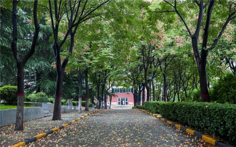 【2023高考參考】西安思源學(xué)院2022年江西招生專業(yè)及招生計劃一覽表