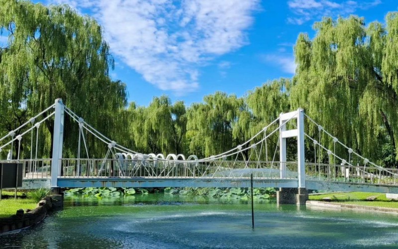 2023年北京交通職業(yè)技術(shù)學(xué)院在吉林招生專業(yè)及招生人數(shù)匯總(2024考生參考)