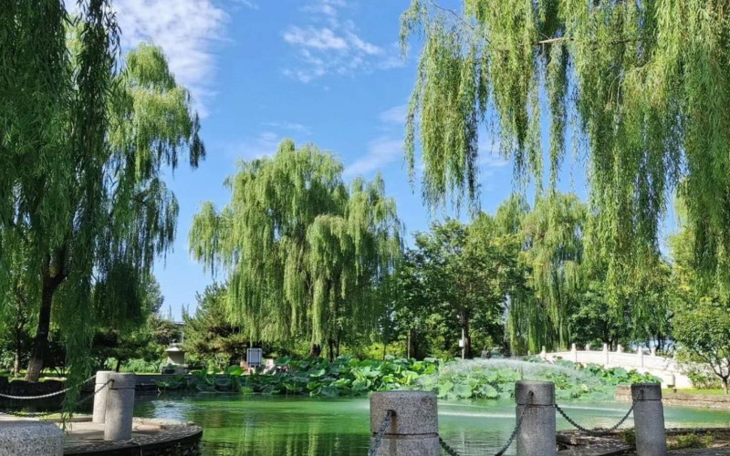 【2024內(nèi)蒙古理科參考】2023年北京交通職業(yè)技術(shù)學(xué)院各專業(yè)在內(nèi)蒙古招生分?jǐn)?shù)線匯總