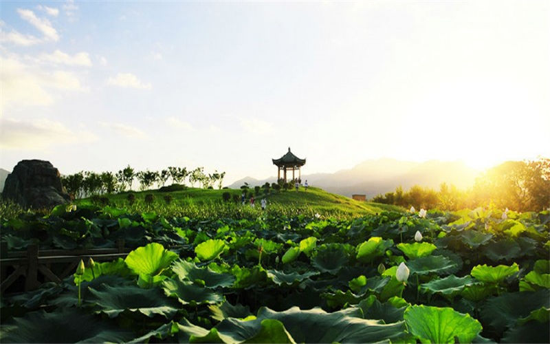 福建中醫(yī)藥大學(xué)中醫(yī)學(xué)專業(yè)在重慶招生錄取分?jǐn)?shù)(物理類)：548分