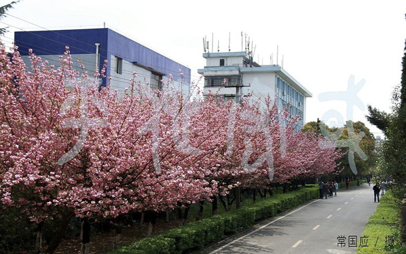 2024考生參考：2023貴州民族大學旅游管理類專業(yè)在重慶招生錄取分數及錄取位次
