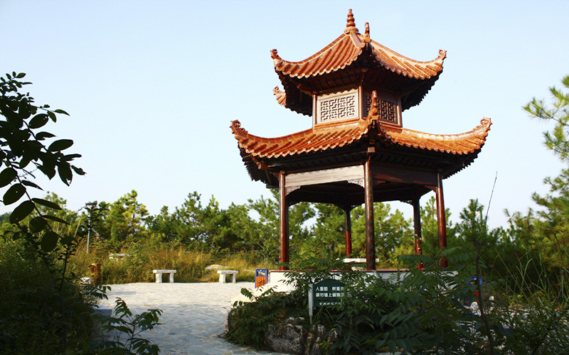 貴州師范學(xué)院旅游管理類專業(yè)在山東招生錄取分?jǐn)?shù)(綜合)：484分