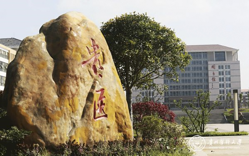 【2023高考參考】貴州醫(yī)科大學2022年遼寧招生專業(yè)及招生計劃一覽表