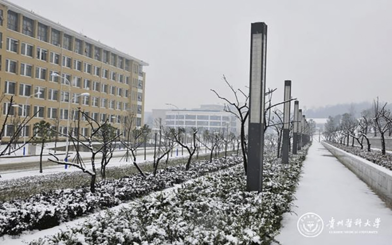 2023年內(nèi)蒙古考生多少分可以上貴州醫(yī)科大學(xué)藥學(xué)（中外合作辦學(xué)）專業(yè)？