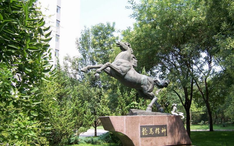 【2024遼寧物理類參考】2023年北京林業(yè)大學(xué)各專業(yè)在遼寧招生分?jǐn)?shù)線匯總