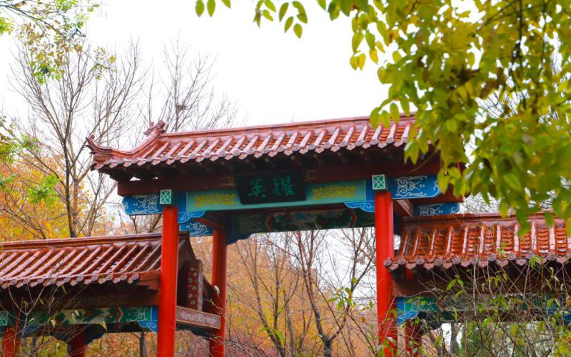 德州學(xué)院化學(xué)工程與工藝專業(yè)錄取分?jǐn)?shù)線【安徽高考理科】