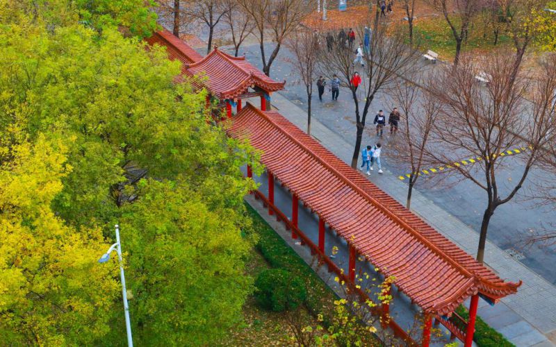 2023年德州學(xué)院在山西招生專業(yè)有哪些？學(xué)費(fèi)是多少？
