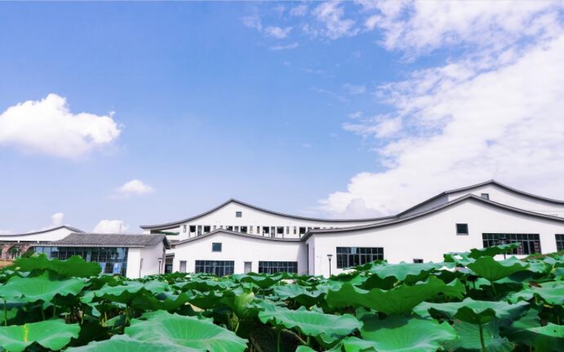 2024考生參考：2023重慶郵電大學(xué)移通學(xué)院電氣工程及其自動化專業(yè)在內(nèi)蒙古招生錄取分數(shù)及錄取位次
