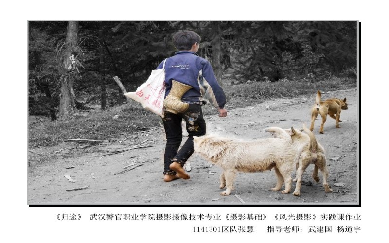 【2023高考參考】武漢警官職業(yè)學(xué)院2022年廣東招生專業(yè)及招生計劃一覽表