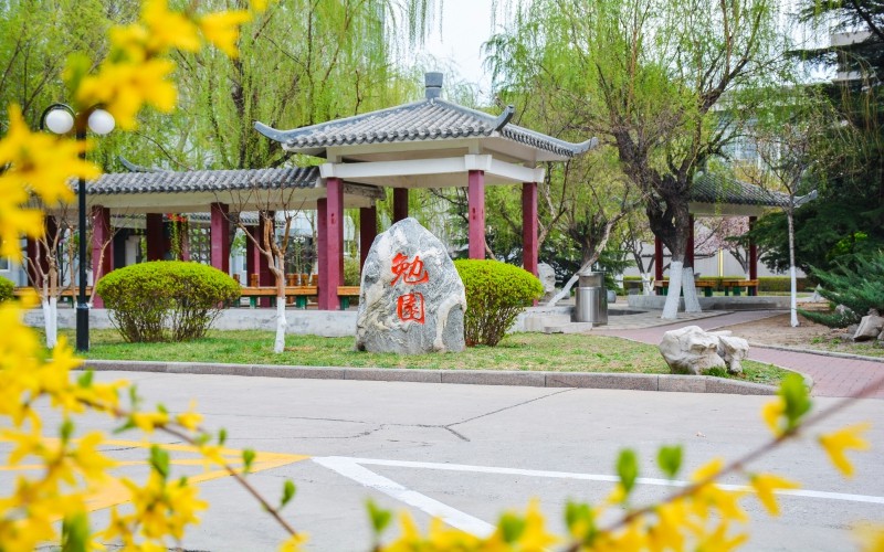 2023年內(nèi)蒙古考生多少分可以上天津職業(yè)技術(shù)師范大學(xué)電氣工程及其自動(dòng)化（師范類(lèi)）專(zhuān)業(yè)？