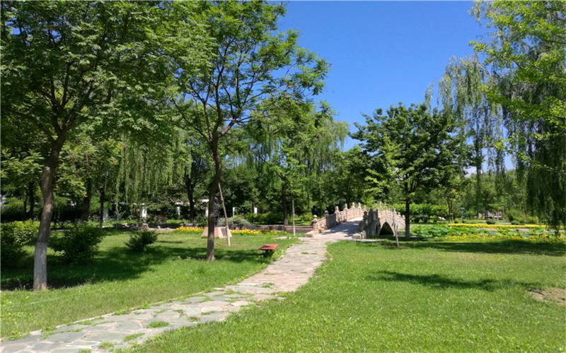 北京交通職業(yè)技術(shù)學(xué)院工程造價(jià)專業(yè)在山東招生錄取分?jǐn)?shù)(綜合)：451分
