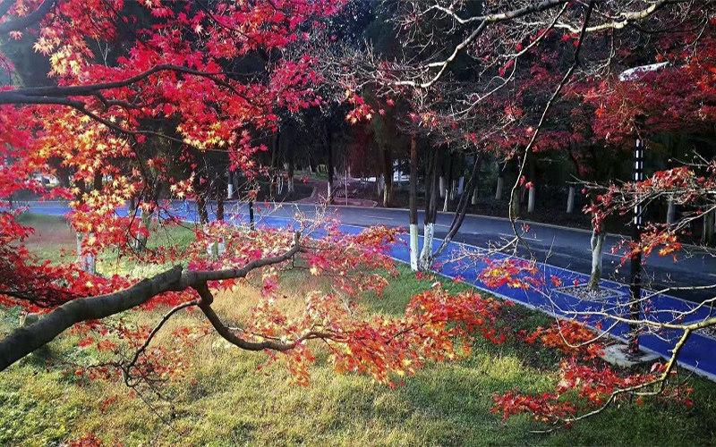 黔南民族職業(yè)技術(shù)學(xué)院農(nóng)產(chǎn)品加工與質(zhì)量檢測(cè)專業(yè)錄取分?jǐn)?shù)線【廣西高考理科】