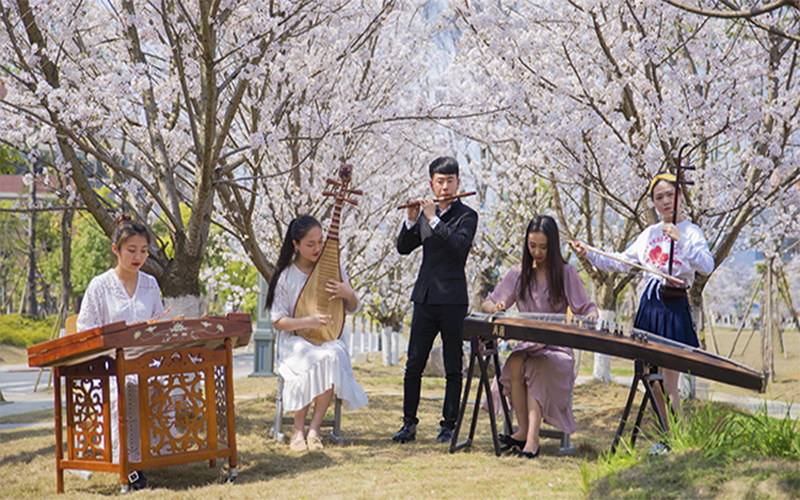 【2024內(nèi)蒙古理科參考】2023年遵義師范學(xué)院各專業(yè)在內(nèi)蒙古招生分數(shù)線匯總