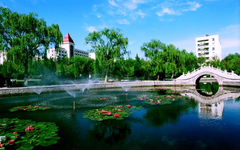 2023年魯東大學(xué)在陜西招生專業(yè)及招生人數(shù)匯總