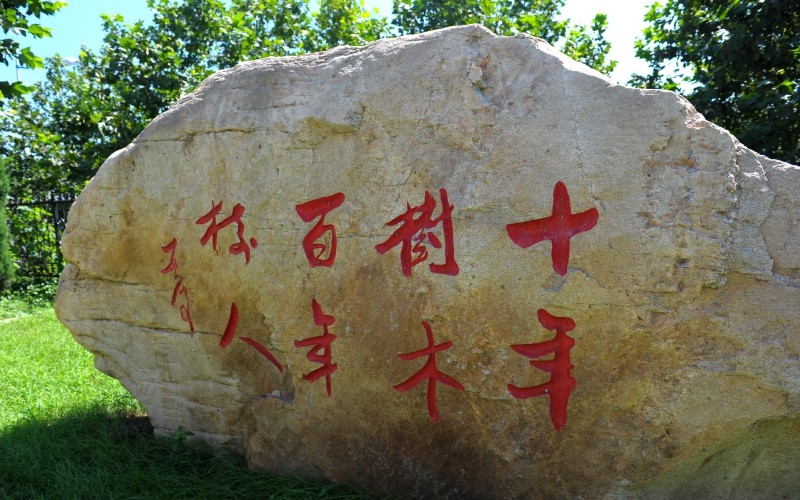 魯東大學社會工作專業(yè)錄取分數(shù)線【新疆高考文科】