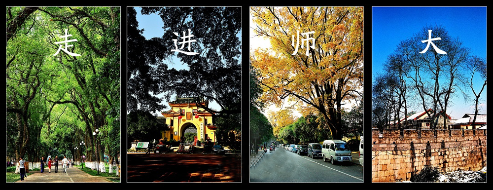 2023年廣西師范大學(xué)藝術(shù)類專業(yè)招生簡(jiǎn)章(2024年藝考生參考)