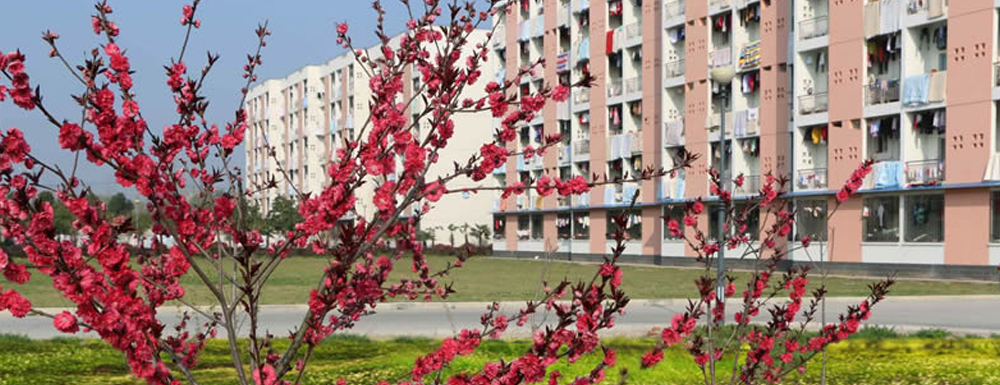 ?皖西衛(wèi)生職業(yè)學院老年服務與管理專業(yè)介紹｜2023大學專業(yè)介紹