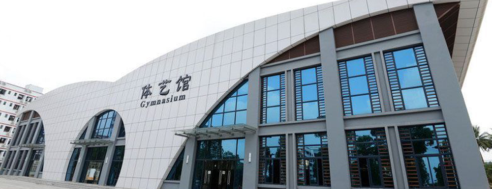 ?海南外國語職業(yè)學院應(yīng)用羅馬尼亞語專業(yè)介紹｜2023大學專業(yè)介紹