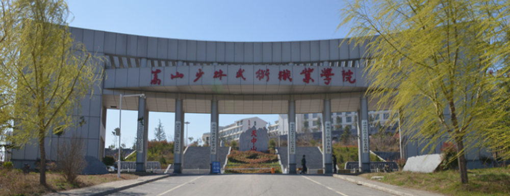 2023年河南高職單招院校名單|嵩山少林武術(shù)職業(yè)學(xué)院簡(jiǎn)介及辦學(xué)類型