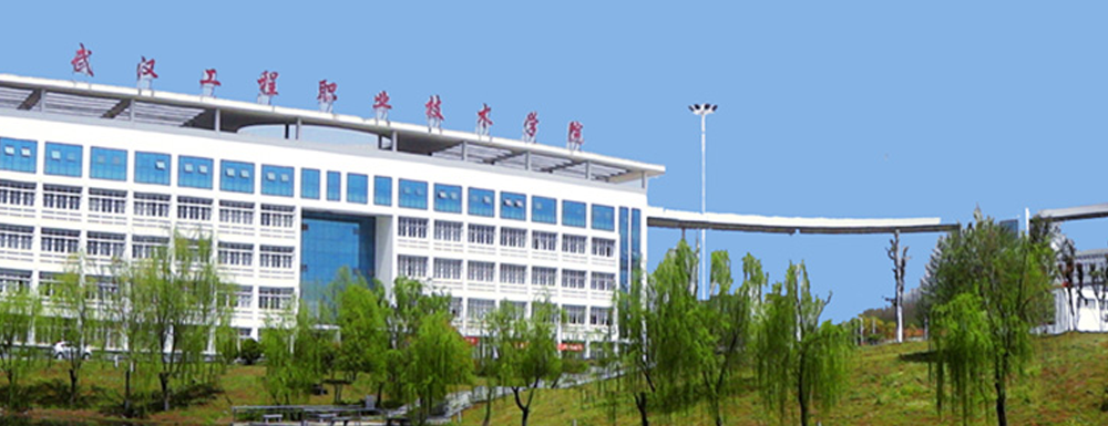 武漢工程職業(yè)技術(shù)學(xué)院學(xué)校代碼是多少？【12738】