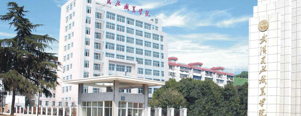 ?武漢民政職業(yè)學(xué)院環(huán)境藝術(shù)設(shè)計(jì)（室內(nèi)設(shè)計(jì)方向）專業(yè)介紹｜2023大學(xué)專業(yè)介紹