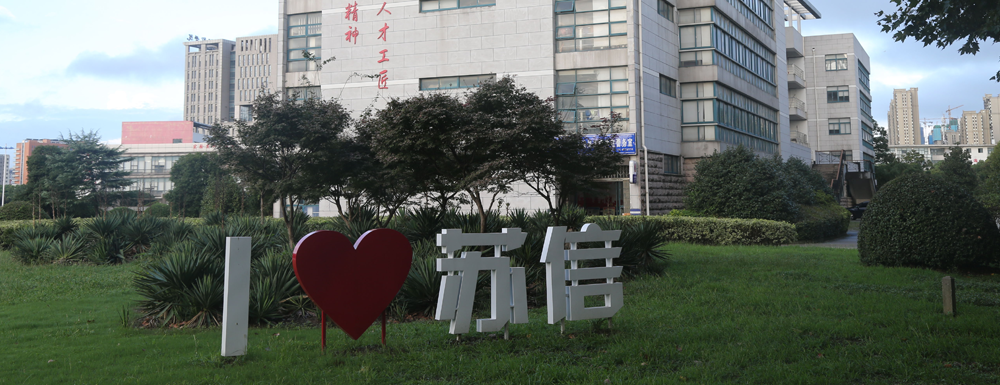 蘇州信息職業(yè)技術(shù)學(xué)院招生網(wǎng)_蘇州信息職業(yè)技術(shù)學(xué)院招生錄取發(fā)布平臺