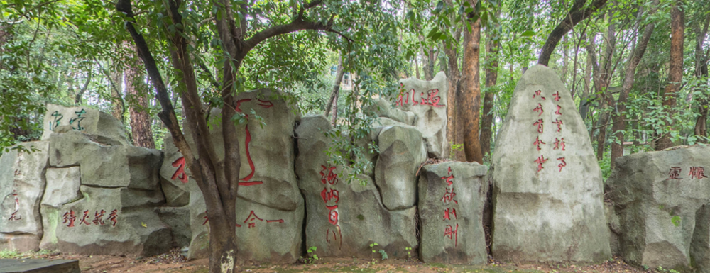 ?江西管理職業(yè)學院木材加工技術(shù)專業(yè)介紹｜2023大學專業(yè)介紹