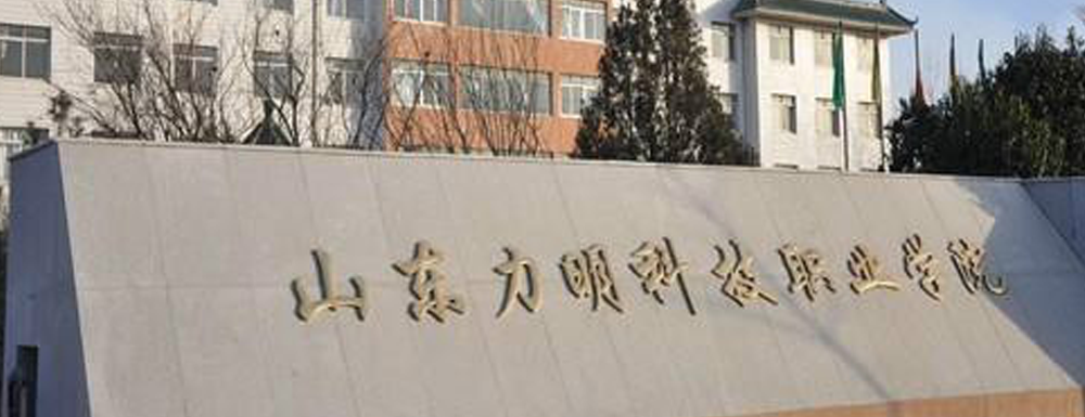 2023年山東力明科技職業(yè)學院報考指南：山東力明科技職業(yè)學院簡介