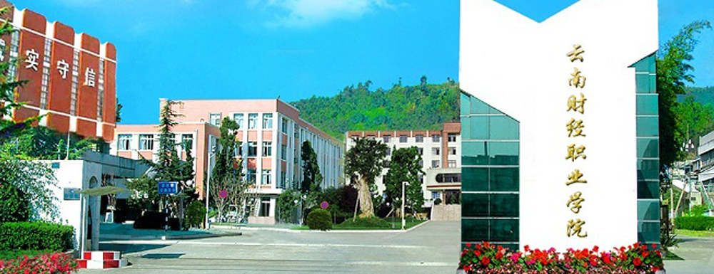 ?云南財經(jīng)職業(yè)學(xué)院電子商務(wù)（電子商務(wù)方向）專業(yè)介紹｜2023大學(xué)專業(yè)介紹