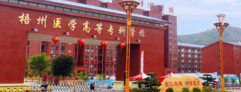 梧州醫(yī)學(xué)高等?？茖W(xué)校的辦學(xué)類型是什么？【高職單招院?！? />梧州醫(yī)學(xué)高等專科學(xué)校的辦學(xué)類型是什么？【高職單招院校】</a></div><div   id=