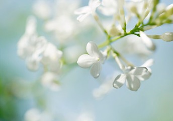關(guān)于2019年四川省深度貧困縣普通類本科和省級(jí)公費(fèi)師范生本科未完成計(jì)劃院校第二次征集志愿的通知