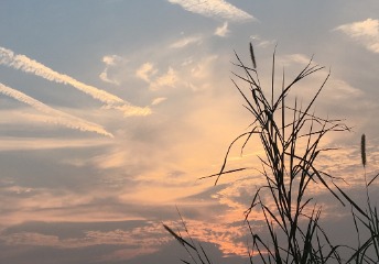 我國(guó)最難畢業(yè)的985大學(xué)，卻是國(guó)內(nèi)教學(xué)口碑排名第一的高校！