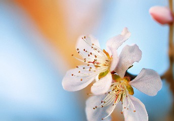 高考：分?jǐn)?shù)級(jí)差、志愿級(jí)差、專業(yè)級(jí)差，分別是什么意思？了解一下