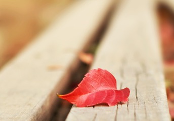 中國9所頂尖高校在世界大學(xué)排名中表現(xiàn)如何？