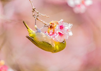 2019年全國(guó)高考統(tǒng)一考試大綱（匯總）