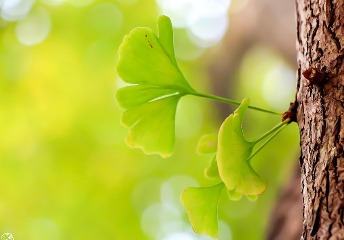 如何學(xué)好英語句型翻譯和書面表達(dá)部分？這里有妙招！