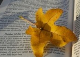 今年暑假不放假？多地公布暑假時(shí)間！高二0天假期，直升高三？
